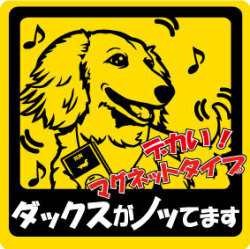 新品★ノッてますステッカー★ダックス★マグネット★車に♪★犬雑貨　送料180円可