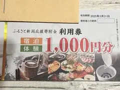 宿泊体験券 6000円分 有効期限2025年3月31日