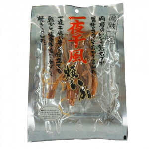 小倉秋一商店 一夜干し風焼いか 48g×10セット /a