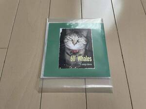 ★60’ Whales『2 songs demo』CD★pigeon/zero fast/snuffy smile