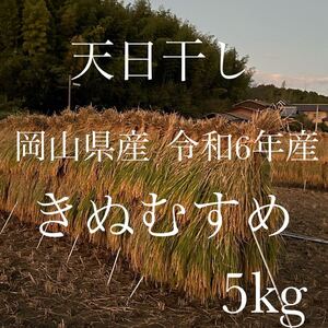 岡山県産　令和6年産　きぬむすめ　白米　5kg 新米