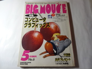 雑誌「BIG MOUSE ビッグマウス 1995年5月」コンピュータ グラフィックス 、大野幹代、林葉直子、他、　3,5インチフロッピーなし