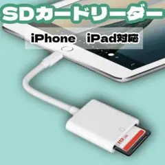 ☆SDカードリーダー 転送 ライトニング iPhone iPad 写真 白T６