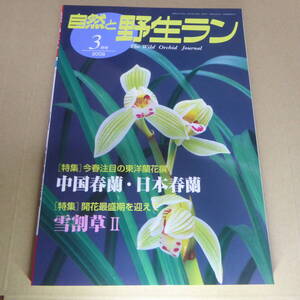 ＹＮ1-240911☆◆ 自然と野生ラン ◆ 2009年3月号　中国春蘭　日本春蘭　雪割草