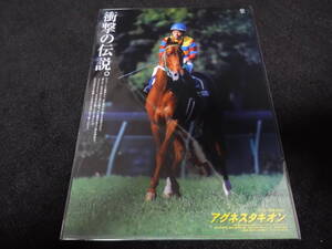 JRA ヒーロー列伝No.51 アグネスタキオン クリアファイル 新品未開封 2015年来場ポイント