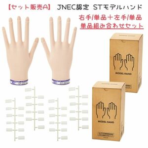 【単品セット販売A】 JNEC認定 滝川 STモデルハンド 右手 左手 両手 単品セット 第1期認定 ネイリスト検定