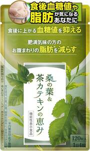 和漢の森 桑の葉＆茶カテキンの恵み 1袋 120粒 機能性表示食品 血糖値を抑える お腹の脂肪を減らす 内臓脂肪 サプリ