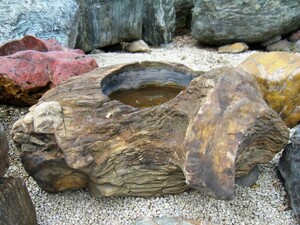 木化石 珪化木 蹲 水鉢 庭石 つくばい 手水鉢 景石 天然石 和風 庭園 銘石 鑑賞石 ぼっかせき s-ni052