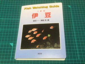 Fish Watching Guide 伊豆　フィッシュウォッチングガイド