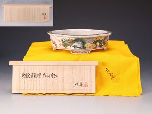 【ISBS】人気絵鉢作家 伊藤月香作「月香色絵龍図木瓜式鉢」共箱共布付 発色最高 繊細な描写 抜群の成形技術 間口約14.2cm[Y202511608]