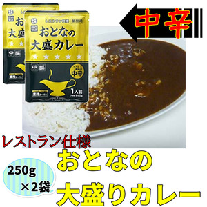 送料無料　おとなの大盛カレー レストラン仕様 中辛 250g×2袋 レトルトカレー ポイント消化 おとなの大盛りカレー