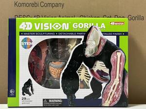 新品未開封 4Dビジョン ゴリラ 解剖モデル 4D VISION Gorilla 4D master fame master