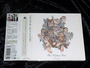 The Winking Owl / Voyage = CD(帯付き,デジパック仕様,アコースティックなコンセプト・アルバム)