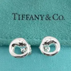 ☆美品☆【TIFFANY&Co.】エターナル　サークル　ピアス　1513