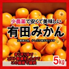 みかん 5㎏ 有田みかん 蜜柑 減農薬 ミカン 濃厚 甘い 高糖度 産地直送