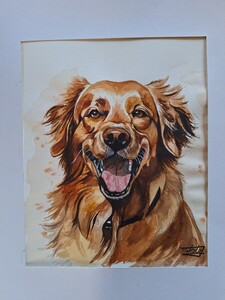 水彩画　GoldenRetriever