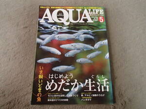 月刊 アクアライフ 2015 5 No.430 エムピージェー メダカ 書籍 本