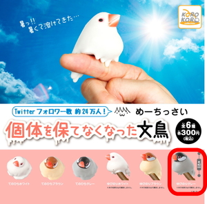 § 個体を保てなくなった文鳥　（ゆびのりグレー）