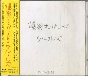 D00160112/CD/ウルフルズ「爆発オンパレード」