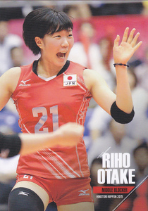 火の鳥NIPPON2015 RG49 大竹里歩 デンソーエアリービーズ 女子バレー 日本代表 全日本