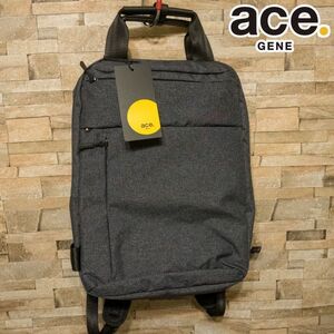 ☆ BG95 新品! ace.GENE エースジーン ホバーライト リュックサック デイパック　A4対応　軽量　スリム　2気室　グレー