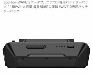 EcoFlow Wave2 純正 ポータブルクーラー専用バッテリー