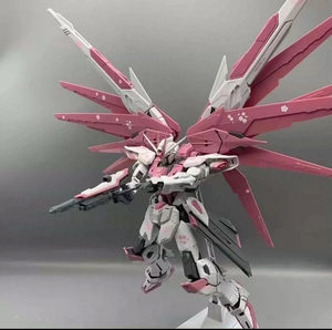 DABAN MODEL　1/100 MG フリーダムガンダム サクラVER. 海外製プラモデル 未組立品　6650 桜花版