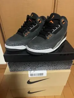 Nike Air Jordan 3 Retro Fear 27㎝