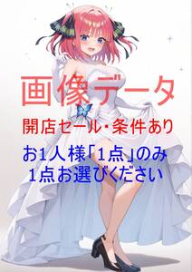 14【画像データ】お一人様一品のみ！注意事項を要確認(世界に1枚) 中野ニ乃　ご等分の花嫁