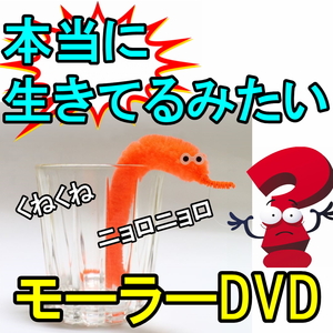 S9★本当に生きているみたい！モーラーマジックDVD