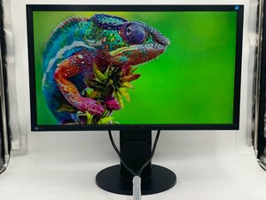 EIZO エイゾ FlexScan EV2316W 23型ワイド液晶モニター フルHD デジタル アナログ DisplayPort 1920x1080 ブラック