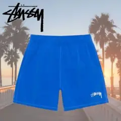 Stussy x Nike U NRG Water Short "Blue"