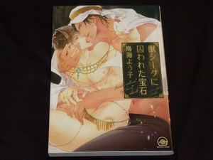 ★獣シークに囚われた宝石★鳥海よう子★送料112円