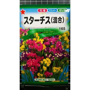 スターチス 混合 ３袋セット 種 郵便は送料無料