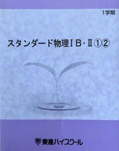 【東進Dスクール】『スタンダード物理①②　やまぐち健一先生』　　元河合塾講師