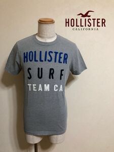 【良品】 HOLLISTER ホリスター Tシャツ トップス サイズL 半袖 グレー 刺繍