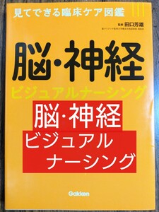 脳・神経ビジュアルナーシング （見てできる臨床ケア図鑑） 田口芳雄／監修