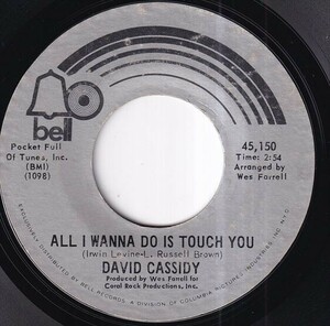 David Cassidy - Cherish / All I Wanna Do Is Touch You (A) RP-S364