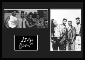 8種類!Living Colour/リヴィング・カラー/ROCK/ロックバンドグループ/証明書付きフレーム/BW/モノクロ/ディスプレイ(6-3W)