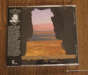 【Tzadik】Eyal Maoz / Edom (John Medeski参加 tony williams lifetimeタイプjazz rock