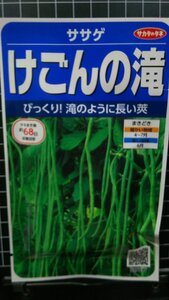 ３袋セット ささげ けごんの滝 ササゲ 種 郵便は送料無料