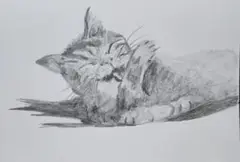 猫の絵。鉛筆画。手描きイラスト。ドローイング。