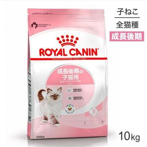 ROYAL CANIN 子猫用ドライフード 10kg