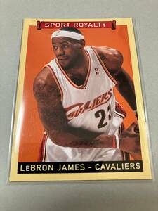 Lebron James 2008 UD Goudey Sport Royalty #313 裏緑 NBA Cavaliers