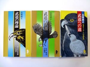 【南郷継正 3冊 セット】武道の理論 武道の復権 武道への道 / 南郷継正 三一書房 / 送料310円