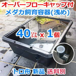 メダカ飼育ケース【40㍑トロ舟 1個 オーバーフローキャップ付】送料別 めだか飼育容器 金魚 産卵 針子 ビオトープ 容器 睡蓮【五色アクア】