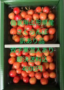 佐藤錦 山形県上山産訳ありＢ品さくらんぼ双子果あり 佐藤錦１ｋｇバラ詰め　桜桃　クール便即決送料込み　自家用に最適 4