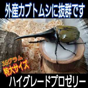 超ビックサイズ！　特大65g【200個】成分に拘わり抜いた最高峰　産卵促進・長寿・体力増進　クワガタゼリー　カブトムシゼリー　昆虫ゼリー