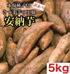 本場鹿児島産 ホクホク 安納芋 5kg 訳あり さつまいも218