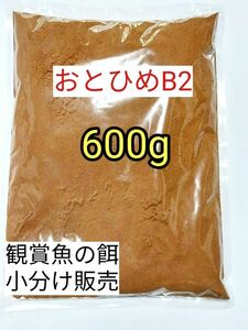 (沈下性) 餌の定番 メダカ餌 おとひめB2 600g 日清丸紅飼料 グッピー 熱帯魚